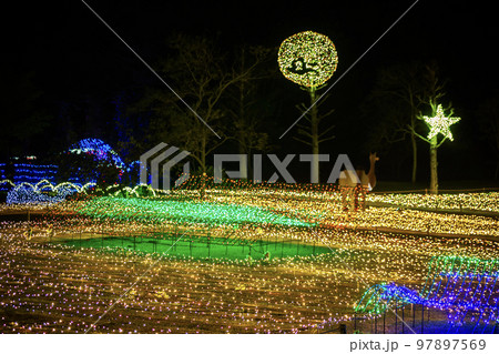 フラワーパークかごしまのイルミネーション 97897569