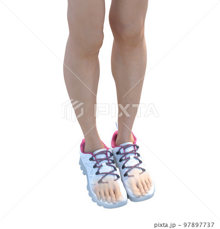 スニーカーを履いた足(靴の中) perming3DCGイラスト素材 スニーカーを履いた足(靴の中) perming3DCGイラスト素材 97897737