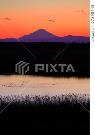 渡良瀬川流域の富士夕景 97898448