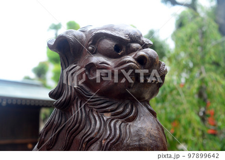 尼崎貴布禰神社境内社白波稲荷神社の狛犬-1 97899642