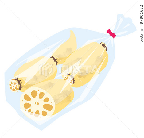 野菜イラスト　袋詰めされたレンコン 97901652