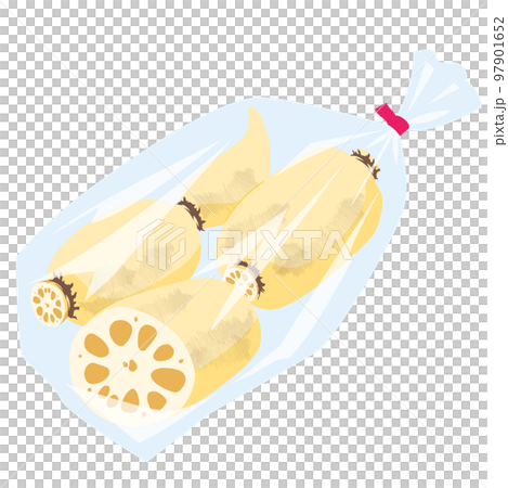 野菜イラスト　袋詰めされたレンコン 97901652