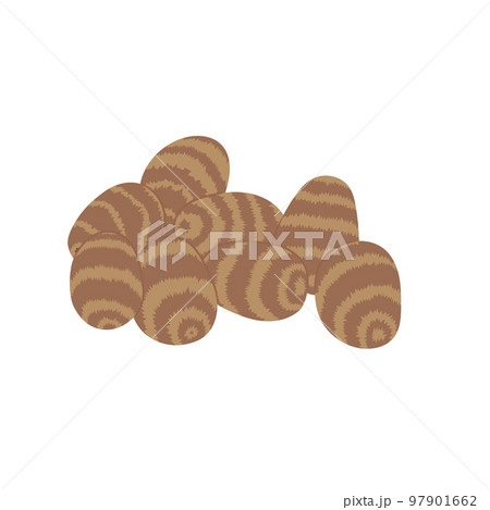 野菜イラスト たくさんの里芋 野菜イラスト たくさんの里芋 97901662