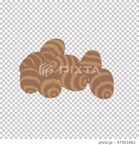 野菜イラスト たくさんの里芋 野菜イラスト たくさんの里芋 97901662