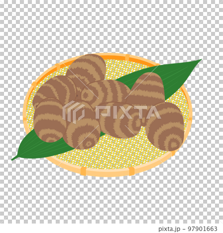 野菜イラスト かごに盛った、たくさんの里芋 野菜イラスト かごに盛った、たくさんの里芋 97901663