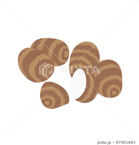 野菜イラスト たくさんの里芋 野菜イラスト たくさんの里芋 97901665