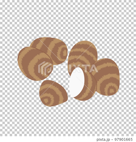 野菜イラスト たくさんの里芋 野菜イラスト たくさんの里芋 97901665