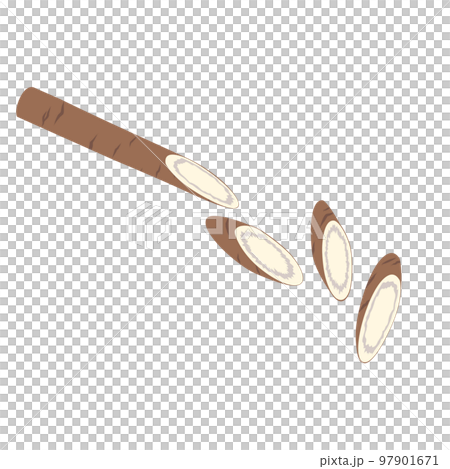 Vegetable illustration, cut burdock root 97901671