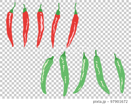 Vegetable Illustration Variety Set Chili Pepper / Shishi Pepper 97901672