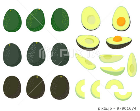 野菜イラスト　バラエティセット　アボカド 97901674