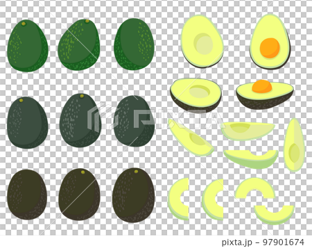 野菜イラスト　バラエティセット　アボカド 97901674