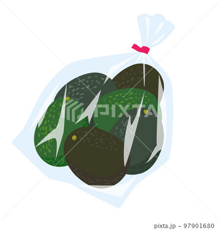 野菜イラスト　袋詰めされたアボカド 97901680