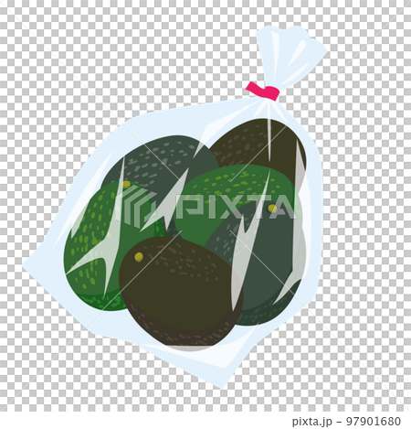 野菜イラスト　袋詰めされたアボカド 97901680