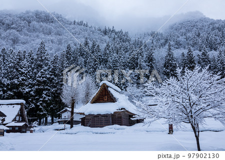 雪景色 世界遺産「相倉合掌造り集落」富山県南砺市 97902130