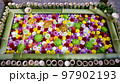 栃木市　とちぎ花センターの花手水 97902193