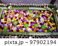 栃木市　とちぎ花センターの花手水 97902194