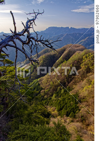 西上州・笠丸山から見る新緑の山並み両神山 97902660