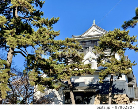 青空と岡崎城天守閣〈岡崎公園/愛知県岡崎市〉 青空と岡崎城天守閣〈岡崎公園/愛知県岡崎市〉 97902807