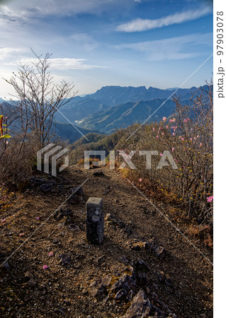アカヤシオツツジ咲く西上州・笠丸山西峰から望む両神山 アカヤシオツツジ咲く西上州・笠丸山西峰から望む両神山 97903078