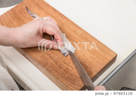 【ミドル主婦がスルメイカをさばく　ゲソを切る】 97903116