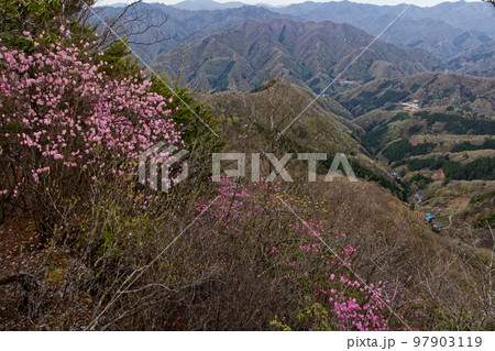 西上州・笠丸山のアカヤシオツツジと山村 97903119