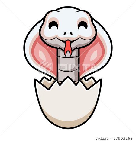 Cute leucistic cobra snake cartoon inside an egg 97903268