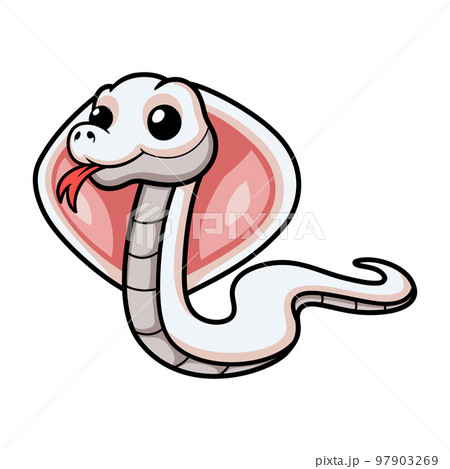 Cute leucistic cobra snake cartoon 97903269