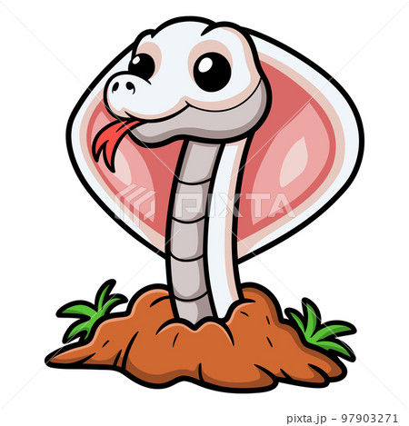 Cute leucistic cobra snake cartoon out from hole 97903271