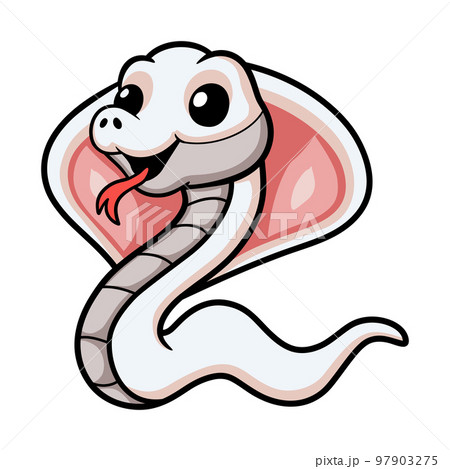 Cute leucistic cobra snake cartoon 97903275