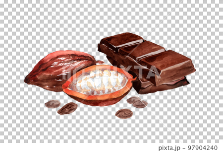 カカオ豆とチョコレートの水彩画 97904240
