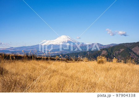 大野山からの景色 撮影日2023.01.03 大野山からの景色 撮影日2023.01.03 97904338