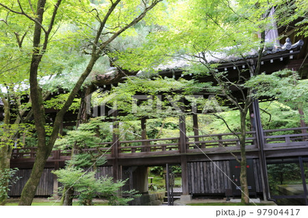 永観堂の伽藍をつなぐ回廊 97904417