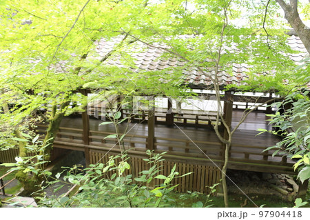 永観堂の伽藍をつなぐ回廊 97904418