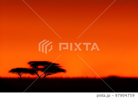 サバンナの地平線　夕景 97904759
