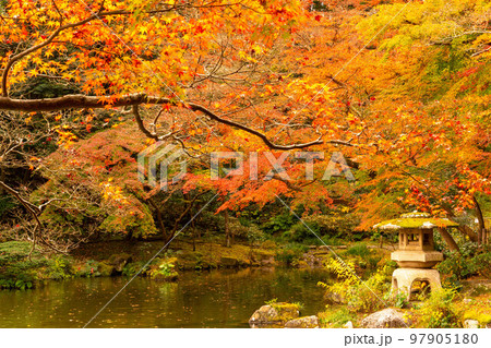 成田山公園紅葉まつり 成田山公園紅葉まつり 97905180