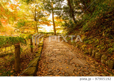 成田山公園の散策路 成田山公園の散策路 97905192