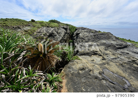 クブラバリ 97905390