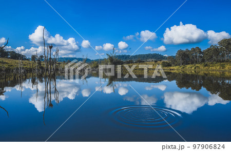 Blue sky and clouds with reflections on the nature swamp. 97906824