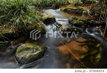 peaceful, serene natural scenery with warm, low lighting, peaceful, serene natural scenery with warm, low lighting, 97906834