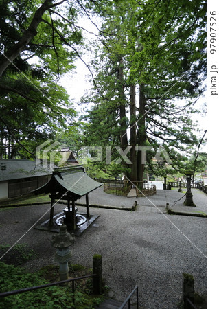 三本の大杉が御神木の戸隠神社の中社 97907526