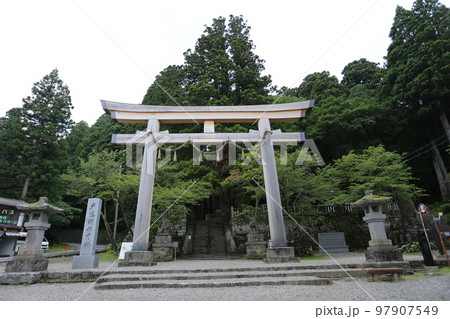 三本の大杉が御神木の戸隠神社の中社 三本の大杉が御神木の戸隠神社の中社 97907549