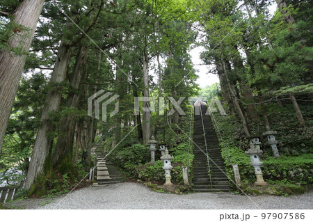 三本の大杉が御神木の戸隠神社の中社 97907586
