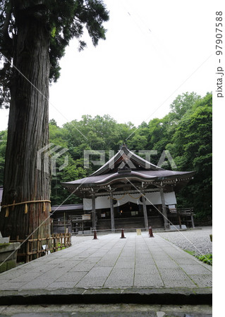 三本の大杉が御神木の戸隠神社の中社 97907588
