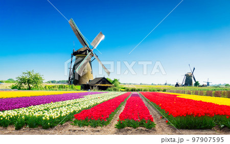Dutch wind mills 97907595