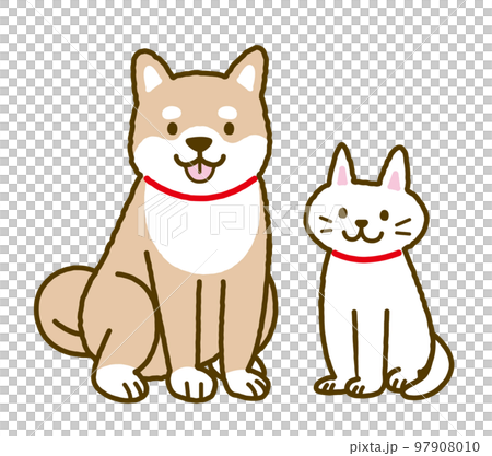 柴犬和貓 97908010