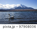 富士山と白鳥 97908036