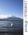 富士山と白鳥 97908037