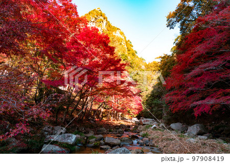 豪渓 紅葉の渓流と天柱山1 岡山県総社市 豪渓 紅葉の渓流と天柱山1 岡山県総社市 97908419