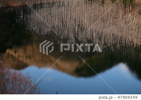 湯西川ダム 水没林 リフレクション 湯西川ダム 水没林 リフレクション 97909349