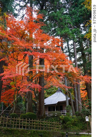 世界遺産関山中尊寺 97909659